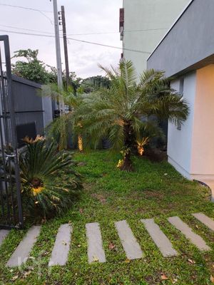 Image 3 - 871542
