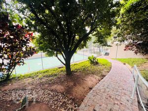 Image 34 - 871597