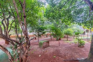 Image 31 - 871751