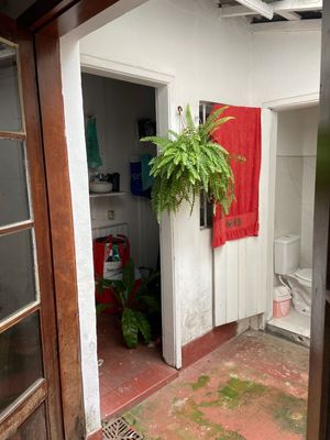 Image 5 - 871945
