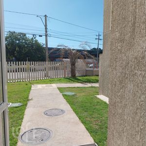 Image 18 - 871999