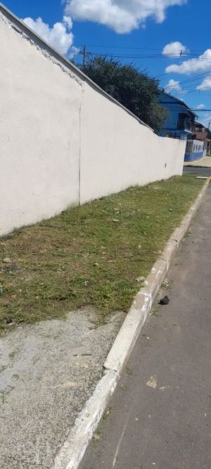 Image 12 - 872021