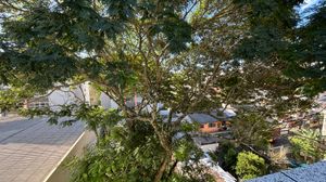 Image 15 - 872101