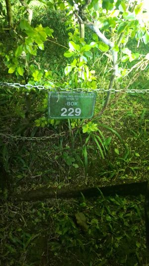 Image 4 - 872204
