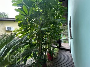 Image 13 - 872237