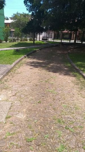 Image 10 - 872258