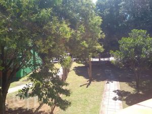 Image 16 - 872258
