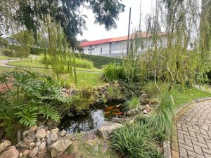 Image 38 - 872452