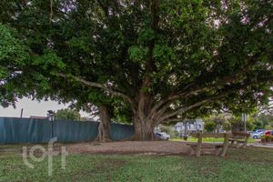Image 43 - 872498