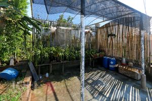 Image 50 - 872741