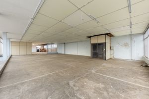 Image 19 - 872811