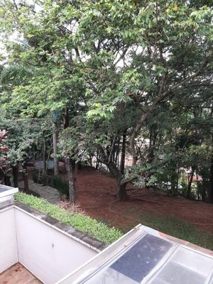Image 37 - 872882