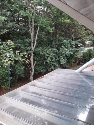 Image 38 - 872882