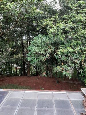 Image 36 - 872882