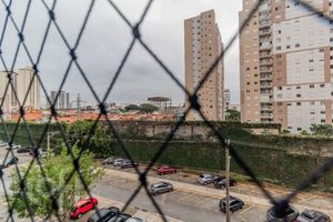 Image 16 - 873089