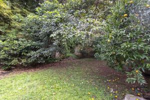 Image 17 - 873169