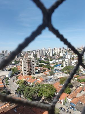 Image 15 - 873291
