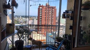 Image 6 - 873341