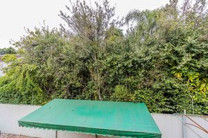 Image 41 - 873455