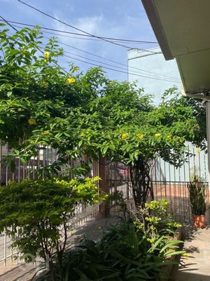 Image 32 - 873463