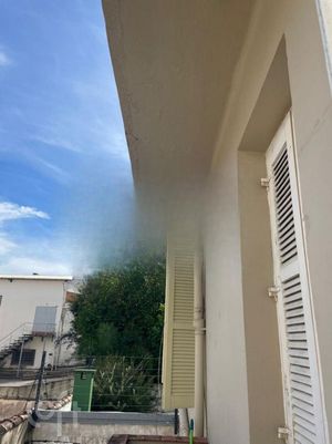Image 8 - 873463