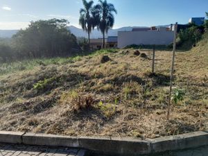 Image 1 - 873470