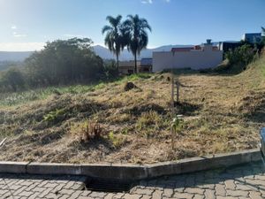 Image 0 - 873470