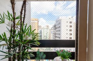 Image 3 - 873539