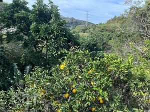 Image 17 - 873806