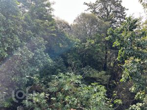 Image 10 - 873806