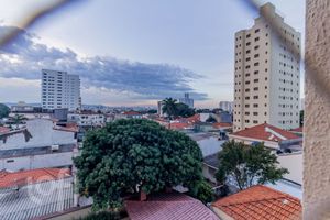 Image 6 - 873896