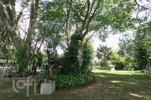 Image 42 - 873960