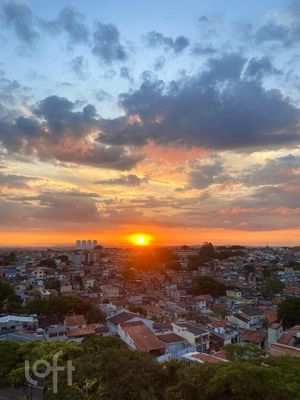 Image 13 - 874035
