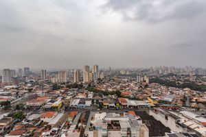 Image 12 - 874078