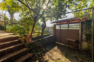 Image 23 - 874156