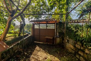 Image 22 - 874156