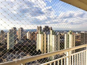 Image 5 - 874183