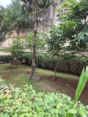 Image 21 - 874203