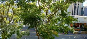 Image 15 - 874210