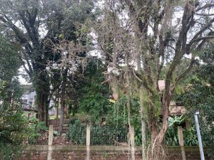 Image 8 - 874395