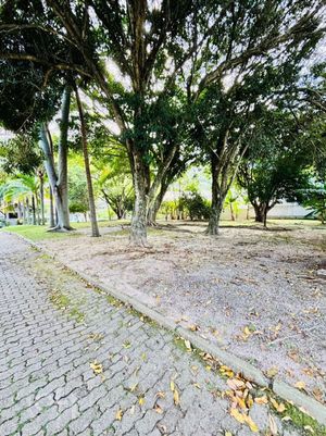 Image 30 - 874399