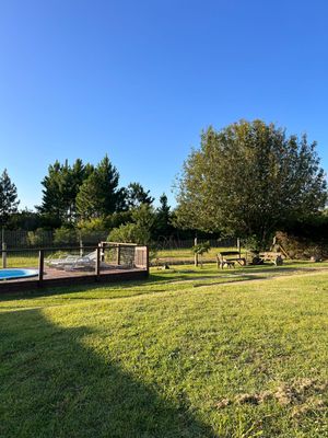 Image 12 - 874408