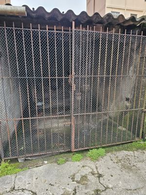 Image 7 - 874433