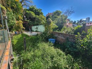 Image 5 - 874440