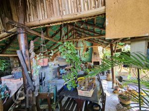 Image 4 - 874440