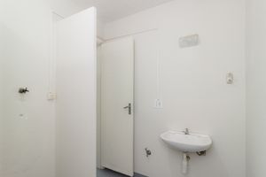 Image 12 - 874483