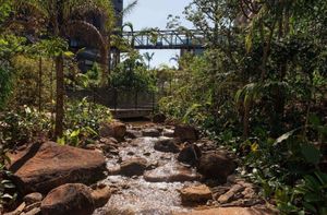 Image 14 - 874629