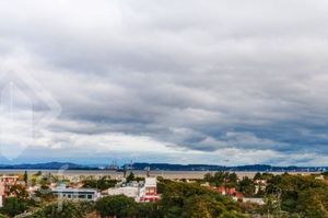 Image 15 - 874796