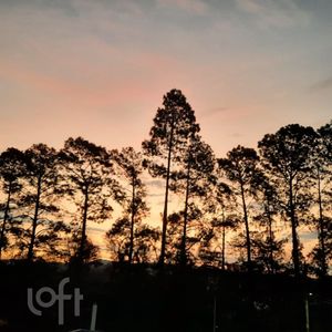 Image 7 - 874803