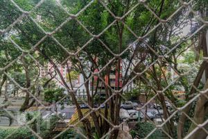 Image 13 - 874823